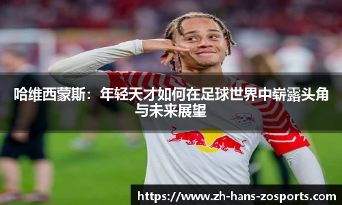 中欧体育