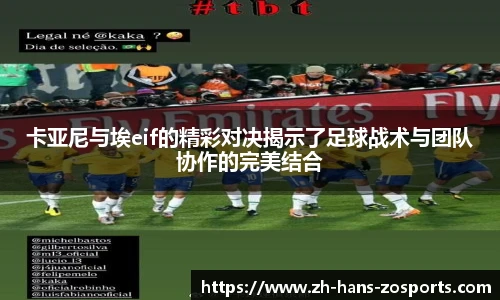 中欧体育
