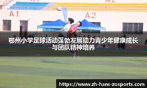 鄂州小学足球活动蓬勃发展助力青少年健康成长与团队精神培养