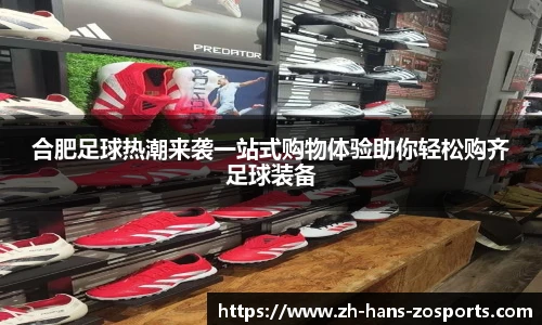 中欧体育官方网站